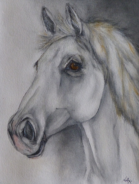 White Horse by Kelly Mills White Horse by Kelly Mills