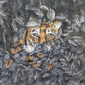 I See You... Orange Tiger